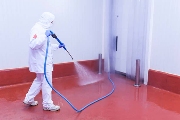 Best Soft Washing  in St Joseph, MI